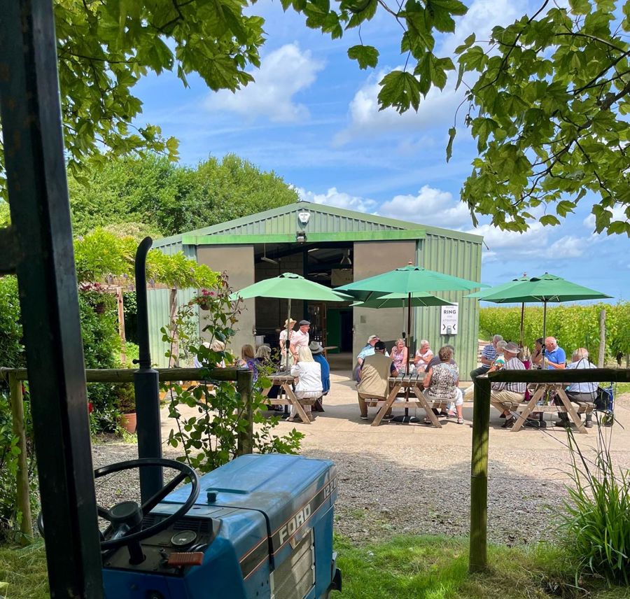 Groups of people at picnic tables under green umbrellas outside a large barn tasting wine. 