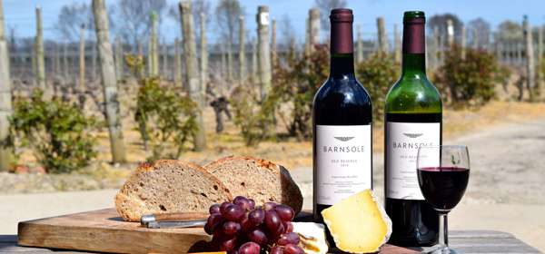 Image of bottles of red wine and a cheeseboard