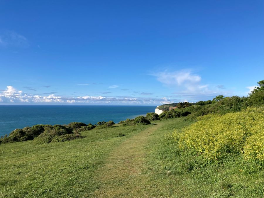 A clifftop path with a glimpse of the white cliffs in the distance, blue sea and blue sky.