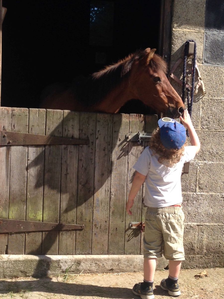 A small child wearing a blue cap reaching to stroke a pony's nose with its head through a stable door.