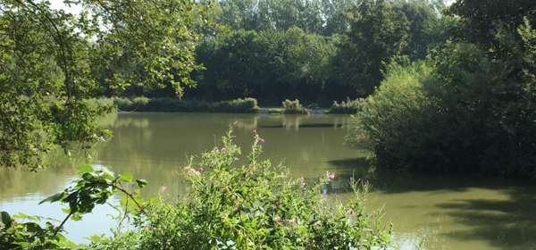 Cottington Lakes 