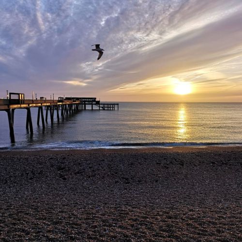 Deal Pier and seafront at first light with a seagull flying overhead