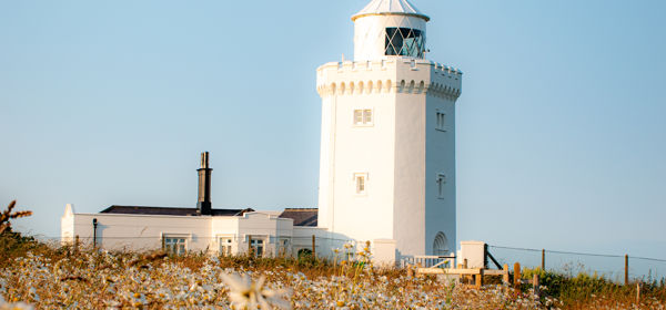 A faded field of daisies with a lighthouse in the distance and blue sky.