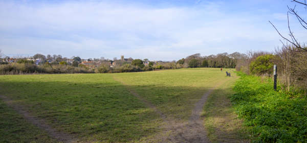  Open grassed area surrounded by trees and a blue sky,