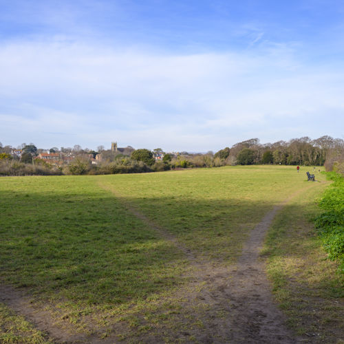  Open grassed area surrounded by trees and a blue sky,