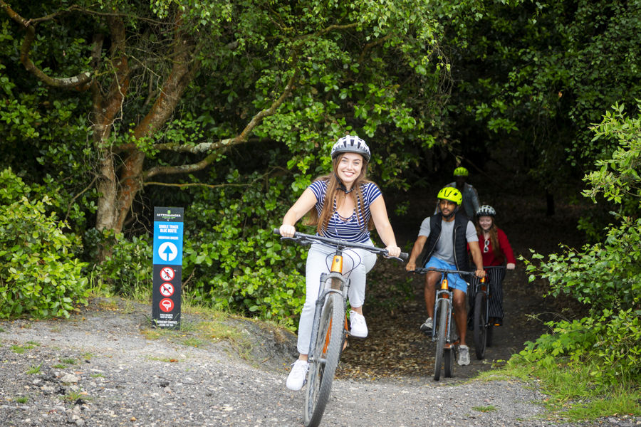 A group of mountain bikers coming out of a woodland towards the camera.