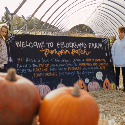 A pile of pumpkins in front of a sign saying 'Welcome to Felderland Farm Pumpkin Patch' with two children standing beside.