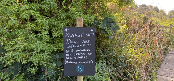 A slate and chalk sign saying dogs are welcome with greenery behind.