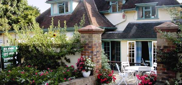 Exterior of the Pines Tea Room with white table & chairs on the patio area.