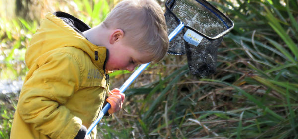 A blond-haired boy wearing a yellow waterproof jacket and holding a pond-dipping net looking down at a pond at his feet.