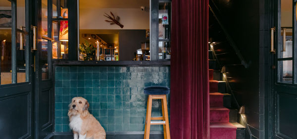 A sandy coloured dog sitting in front of a blue-tiled hotel reception.