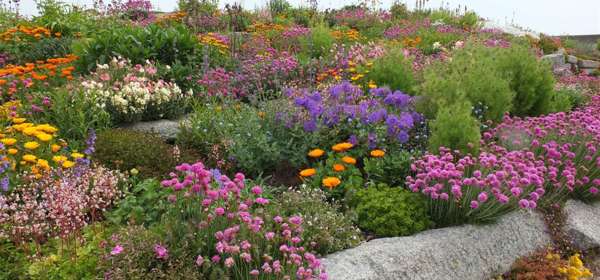 Flowers at Sandown Castle Community Garden