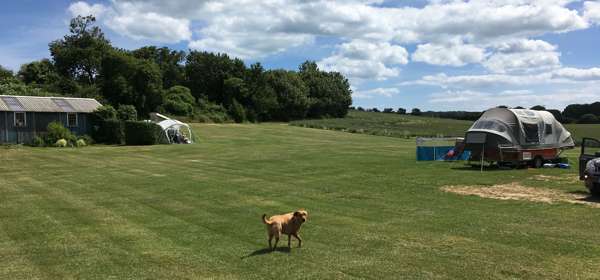 Campsite at Solley's Ice Cream Parlour, Ripple, nr Deal