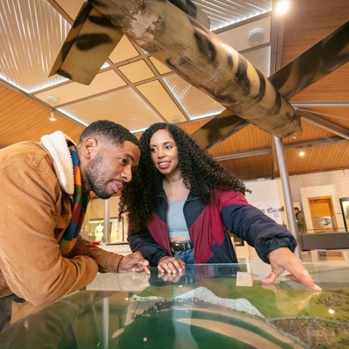 A couple leaning over an exhibition case inside a museum.